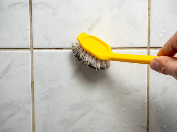 Best Mold Remediation Experts  in New Haven, CT