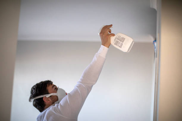 Best Mold Damage Repair  in New Haven, CT