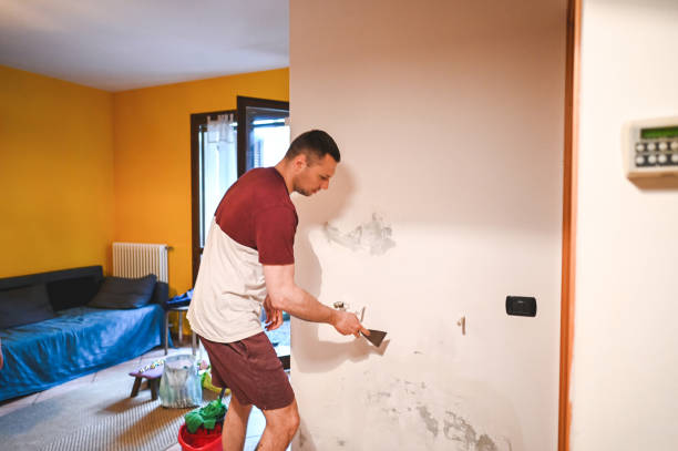 Attic Mold Removal in New Haven, CT